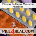 Píldoras De Mejora Masculina Anaconda 42